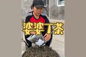 真的太喜欢挖婆婆丁了！#2024新农人计划 #农村生活 #农村美食 #记录真实生活视频封面