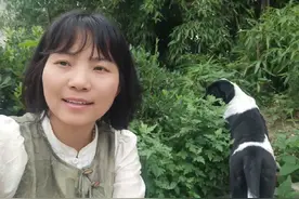 这是来福治疗犬巴贝斯焦虫病的经验分享