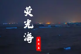在秦皇岛也能看到荧光海了#荧光海 #蓝眼泪
