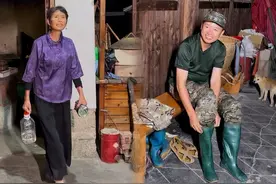 一年就这几天，水桶里加上盐，往竹林里寻宝，刚蜕壳的知了猴正最鲜的美味，炸成金元宝，嫩酥脆鲜，香飘满院，这是夏夜悄悄递来的馈赠，也是农村最实在的生活。#我的乡村生活 #新农人计划2025 #农村美食 #知了猴 #知了猴怎么就火出圈了