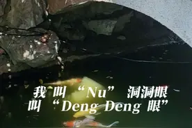 苏州话中的“十里不同音”，有着各种不同的风格。#苏州话#梦白说苏 #顾亭酒家#一本正经飚方言@抖音创作者大会 @相门顾亭酒家•始于1999视频封面