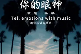 听了这首歌我才知道为什么音响设备试音都喜欢用蔡琴的歌#蔡琴歌曲 #你的眼神#经典老歌