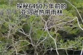 亚马逊热带雨林有多恐怖？普通人只需三个小时就能在里面走完一生 #奇趣自然 #野外生存 #亚马逊雨林视频封面