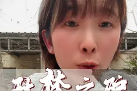 驮梦之驴 #人世间 #人生感悟 #人生有太多无奈和心酸 #生活的苦只有经历过的人才懂 #也许这就是人生吧视频封面
