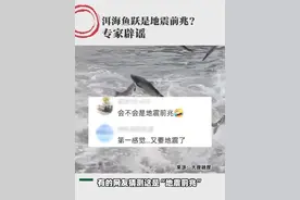 今日辟个谣！洱海鱼跃地震发生前兆？ 专家辟谣：与网上自然灾害及地震等均无直接关系。#洱海 #云南 #辟谣 #谣言视频封面