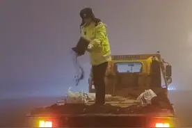 冰雪路面 务必注意行车安全 乌鲁木齐交警在路上一直为您守护#雪天路滑注意安全 #下雪路滑大家出行注意安全视频封面