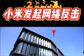 2025年5月19日，小米法务部发文称，2025年5月15日从司法机关处获悉，此前报案的一起有组织、有预谋的网络黑公关案件已告破。公安机关已依法对多名犯罪嫌疑人采取刑事强制措施，案件还在进一步调查。   自2024年12月起，直至近期小米汽车相关的系列热点事件，该犯罪团伙利用文案自动生成软件捏造关于小米的虚假信息，并操纵近万个社交媒体账号，恶意造谣、散播不实言论，还采用煽动网络对立情绪、踩一捧一等方式进行恶意炒作，严重诋毁小米公司。   据悉，该案反映出新型网络水军犯罪特征，团伙作案、组织严密，利用自动化软件批量生成黑稿，分发链条复杂，犯罪金额巨大，对网络环境和企业商誉造成极其恶劣的影响。   小米法务部严正声明，网络不是法外之地，对造谣、抹黑等侵权行为，小米将坚决以法律手段保护自身合法权益。