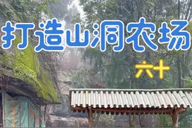 三个月时间开荒到现在的全过程，视频比较长请耐心观看 #新农人计划2024 #三农 #农村创业养殖视频封面