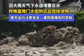 因大雨天气下水道堵塞反水，昨晚洛阳嘉豫门大街附近出现排泄物。 温馨提醒：雨天出行请注意安全，有困难第一时间求助#河南dou知道 #洛阳 #大雨