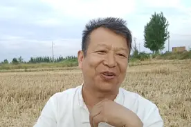 2024年小麦最低亩产多少斤？湿小麦多少钱一斤？河南大东说视频封面