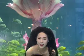 水里已经有了秋天的味道#北海海底世界 #王丸丸美人鱼 #mermaidmystery连体鱼尾 #底妆 #吐珍珠美人鱼视频封面