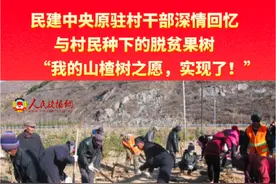 民建中央原驻村干部深情回忆与村民种下的脱贫果树：“我的山楂树之愿，实现了！”视频封面