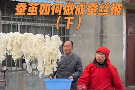 前几天湖北武汉的一位姐姐拿来了一包自己家养的蚕结成的蚕茧想做床蚕丝被，昨天对蚕茧进行的处理，蚕茧做蚕丝被的工序还是比较繁琐的，需要先把蚕茧放进锅里面煮，煮的时候需要再锅里面放点秘密佐料，不能放的太多，锅开大概半个小时左右就行了，也不能煮太长时间，然后捞出来清洗，需要多洗几遍一定要洗干净，最后再晾晒，今天蚕丝晒干了开始做被子，#蚕茧如何做成蚕丝被 #蚕茧做蚕丝被的过程 #蚕丝被 #蚕丝被手艺人