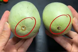 才知道，羊角蜜甜不甜，看一眼这里就知道，一挑一个准，又甜又脆