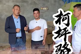 #农村创业养殖 #畜牧业 #骆驼养殖场 #柯坪骆驼节 #抖音助农 @安尼瓦尔 @巴依巴依骆驼养殖场视频封面