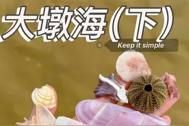 大墩海（下）海神广场左侧沙洲 沙洲退潮之后才能露出来，可以潮高2米之下水浅了再趟水过去，或者从大犇牛房车露营地那边走过去#大海的馈赠 #捡贝壳 #治愈系 #内容启发搜索 #北海视频封面