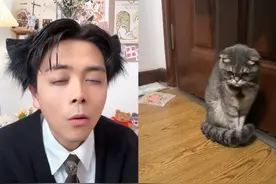 道歉歌！养猫人学起来（超正经）#猫语十级 #喵喵大王 #科学养猫