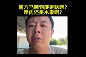 马蹄到底是啥啊？是肉还是水果啊？好吃吗？#南北差异 #马蹄视频封面