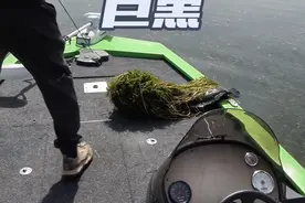 #路亚 #路亚雷强黑鱼打黑 最符合男人气质的雷强玩法，刚猛有力绝不拖泥带水。视频封面