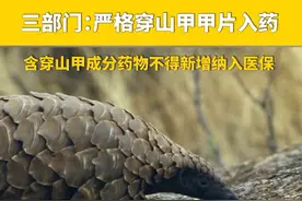 三部门：严格穿山甲甲片入药，含穿山甲成分药物不得新增纳入医保