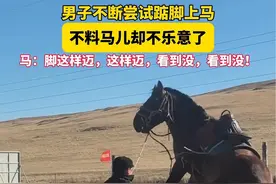 男子上马有些吃力…结果马儿急了视频封面