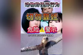 外出或者在野生动物园遇到这几种形为怪异的动物，赶紧远离！危险异常一定要告诉孩子！#儿童安全 #育儿经验分享 #动物的迷惑行为 #育儿教育 #父母必看系列视频封面