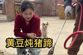 黄豆炖猪蹄 大铁锅炖出来猪蹄软烂入味都脱骨了，满满的胶原蛋白呀。#我的乡村生活 #记录真实生活 #抖音乡村生活家#农村美食视频封面