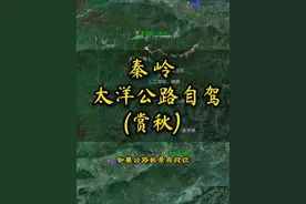太洋公路 各位老司机，注意查收#自驾游 #秦岭 #赏秋 #太洋公路 #秦岭四宝