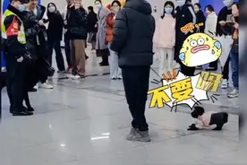 狗子遇到编制内警犬，瞬间怂了！#萌宠出道计划 #神奇动物在抖音视频封面