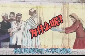 他们到底为什么不吃猪肉#伊斯兰#阿富汗#以色列#伊朗#文化视频封面