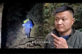 天黑山上传来怪声，你们千万不要怕，其实他就是一只鸟。#户外 #野外生存 #探险 #爬山 #徒步视频封面