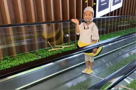 家人们 偶遇到含妹啦 好可爱吖 #偶遇 #疯狂的含妹 @姜雨晗视频封面