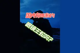国内有四米的眼镜王蛇吗？ #眼镜王蛇视频封面