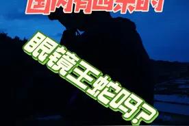 国内有四米的眼镜王蛇吗？ #眼镜王蛇视频封面