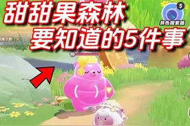 艾比甜甜果森林，一定要知道的5件事 #蛋仔全明星大乱碰