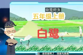 五年级语文上册《白鹭》动画课文解析#小学语文 #语文 #动画