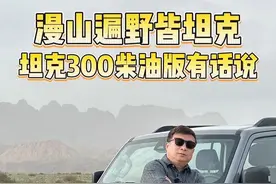 当你感慨新疆#漫山遍野皆坦克 时，这台坦克300柴油版有话说 #柴油也是新能源#25款坦克300到底值不值得买