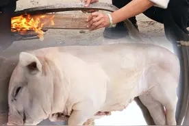 今天做个不一样的蒸乳猪 静还要喊姐妹过来一起品尝#我的乡村生活 #农村美食 #抖音商城年终狂欢季视频封面