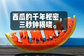 “夏天最‘骗人’的水果？红得像火，却冷得像冰！西瓜的千年秘密视频封面