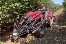 #劳动人民的智慧#种养殖#建筑#拧铁丝#电工知识