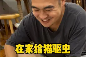 在家给猫驱虫，看到我这一条视频就够了 #萌宠出道计划 #科学养宠攻略 #新手养猫