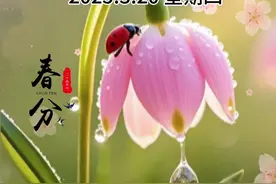 24节气春分 春分春分，春是希望，分的是好运，祝你生活春光明媚心情爽，优雅芬芳惹人爱，愿你一生努力，一生被爱，一路春风得意，一路有良人相伴，春分快乐。#内容启发搜索 #图文来了 #春分 #春分节气 #24节气 @DOU+小助手视频封面