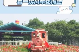 现在立刻把我空投去阜阳行不行！#总要来阜阳看一次风车花海吧视频封面