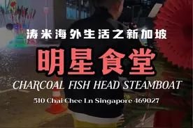 来看看有哪个新加坡明星是大家认识的？ #涛米哥视频封面