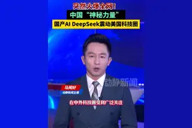 突然火爆全网！中国“神秘力量”国产AI DeepSeek震动美国科技圈
