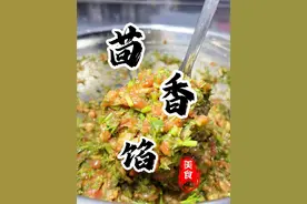 三分钟搞定这个鲜嫩多汁的“小茴香饺子馅” 按照我的方法！比外面饭店都好吃😋#饺子馅 #茴香馅饺子 #饺子馅怎么调 #厨师小吕 #饺子
