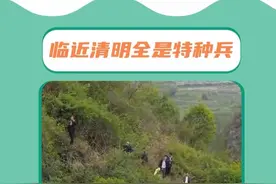 谁懂这一刻的救赎感？#清明 #华南f3 #特种兵 #祭祖拜山视频封面