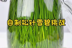 松针➕白糖竟然能做出气泡雪碧 这也太神奇了吧 到底是什么原理哦？#自制饮品 #自制雪碧 #松针雪碧 #松针叶制雪碧