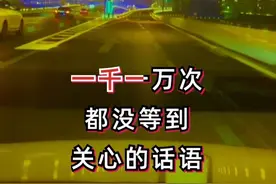 #用尽我一生也没能忘掉你#歌词句句入心 #歌曲视频封面
