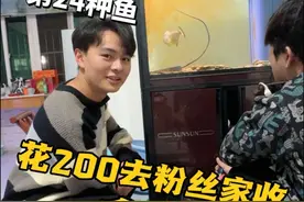 挑战养100种鱼之食人鱼#食人鱼 #鲁伟学长 #挑战养100种鱼视频封面